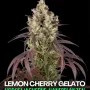 Насіння конопель Lemon Cherry Gelato від Barney's Farm